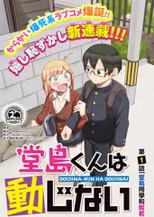 城市漫游者综艺海报